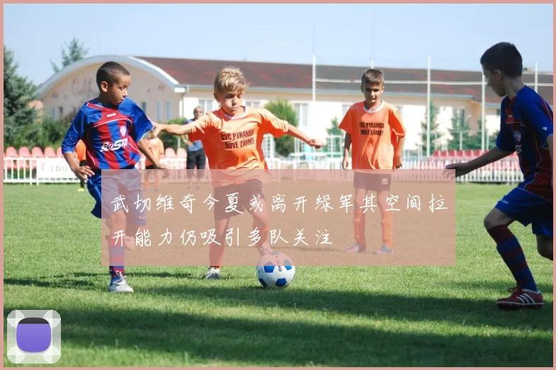 武切维奇今夏或离开绿军其空间拉开能力仍吸引多队关注